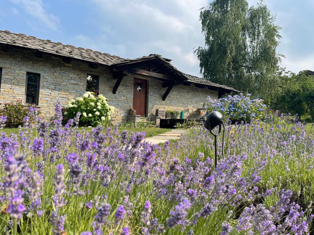 Dionisia'S Home, Pool, Spa On Monviso Unesco Alps Verzuolo Exteriér fotografie